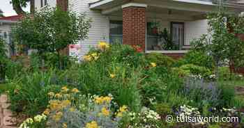 Master Gardener: Annual plant sale curated by experts features native plants, benefits local programs - Tulsa World
