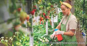 Master Gardener: Sanitation can help protect against plant diseases - The Daily News Online