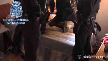 La futura Ley de Seguridad de Sánchez restringe el cacheo a las bandas latinas en busca de machetes - Okdiario