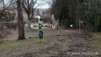 Astbruchgefahr: Die Stadt Starnberg bittet Spaziergänger um Vorsicht - Merkur.de