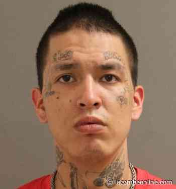 Red Deer RCMP searching for wanted 25-year-old - LacombeOnline.com