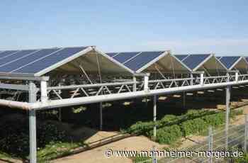 CDU spricht von „Mogelpackung“ - Lampertheim - Nachrichten und Informationen - Mannheimer Morgen