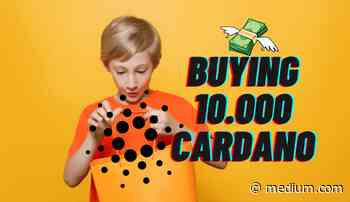 This Made Me Buy 10.000 CARDANO ADA | by Lukas Moore | Feb, 2022 - Medium