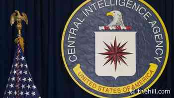 Senators say CIA has been collecting data in bulk in secret program