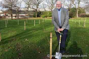 Pandemic memorial trees planted in Lanark and Biggar - GlasgowWorld