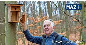 In Rathenow in der Königsheide hat Ernst Freidank 300 Nistkästen aufgehängt - Märkische Allgemeine Zeitung
