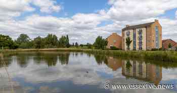 Essex man found dead in Basildon's Gloucester Park days after going missing - Essex Live