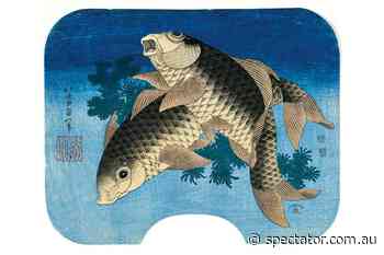 The controversial side of carp fishing - The Spectator Australia