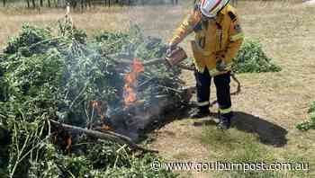 Hume Police seize $55m worth of cannabis in Lake Bathurst bust - Goulburn Post