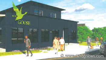 St. Clair Shores City Council OKs site plan for modernized Blue Goose - C&G Newspapers