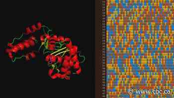 Supercomputer helps Canadian researcher uncover thousands of viruses that could cause human diseases