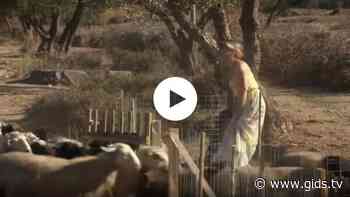 Zaterdag in Wie is de Mol?: Kim-Lian voorspelt dat ze iets met dieren gaan doen - Gids.tv