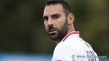 Pro Vercelli-Virtus Verona, Comi versus Zigoni: le probabili formazioni - Tutto Lega Pro