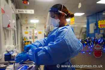 Lassa Fever: What we know and list of symptoms - Ealing Times