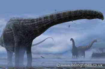 Researchers find first evidence of respiratory infection in dinosaurs - Ealing Times