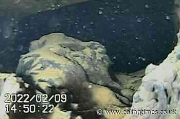 Robot photos appear to show melted fuel at Fukushima reactor - Ealing Times