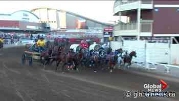 Chuckwagons and the Calgary Stampede parade to return in 2022 - Globalnews.ca