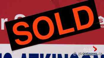 Bidding wars heat up in Calgary’s red hot housing market - Globalnews.ca