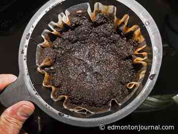 Growing Things: Grounds for the ground - Edmonton Journal