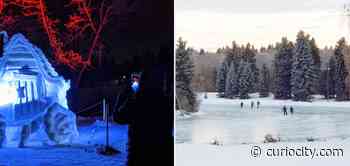 10 of the best things to do in Edmonton this weekend (February 11-13) - Curiocity