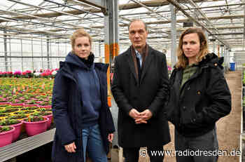 Dresdner Tatort-Team ermittelt in Gärtnerei - Radio Dresden
