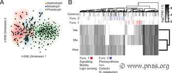The dynamic trophic architecture of open-ocean protist communities revealed through machine-guided metatranscriptomics - pnas.org
