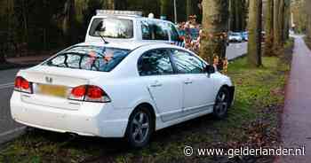 Automobilist ontwijkt overstekende kat in Nijmegen en botst tegen boom - De Gelderlander