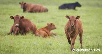 Farmers brace for more drought conditions as unusually warm weather continues