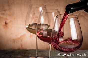 Settore enologico: alla scoperta dei vini rossi più amati dagli appassionati - TraniViva