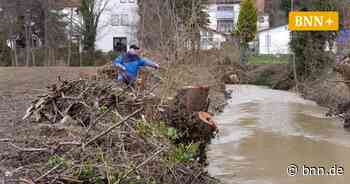 Stadt Bruchsal entfernt Bäume und Sträucher am Saalbach – aber warum? - BNN - Badische Neueste Nachrichten