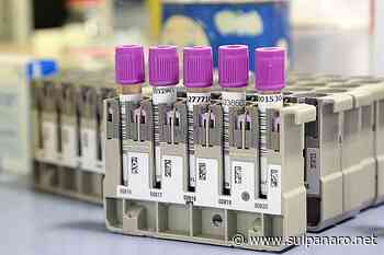 Covid, la situazione all'Aou di Modena: scendono i ricoveri, ma restano ancora più alti del 2021 - SulPanaro