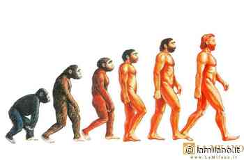 Modena, la mostra “Primordi” svela le fake news sul Paleolitico, incontro con le curatrici al Museo Civico - La Milano