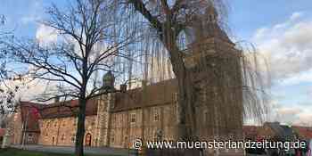 Baumfällung am Schloss: Politiker entscheiden sich gegen „Marterpfahl“ | Raesfeld - Münsterland Zeitung