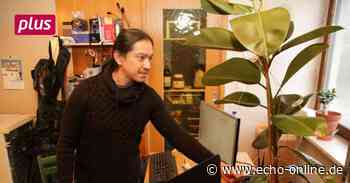 Bischofsheim: Eine Pflanze, die auf Musik reagiert - Echo Online