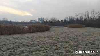 Lainate, si butta nel laghetto ghiacciato per salvare il cane - ilsaronno.it