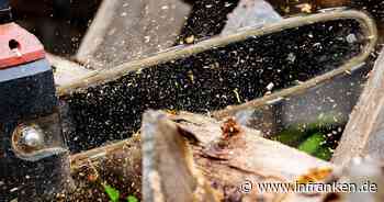 Bamberg: Baumrodungen am Spielplatz in der Weißenburgstraße