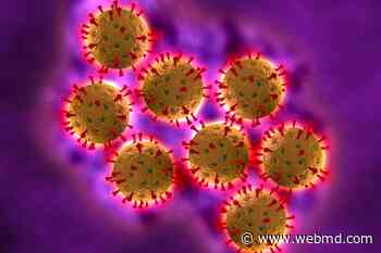 Testes May 'Serve as Viral Sanctuary' for Coronavirus: Study - WebMD