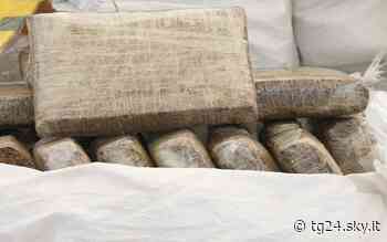 Monza, gestiva traffico di droga internazionale: arrestato 40enne - Sky Tg24