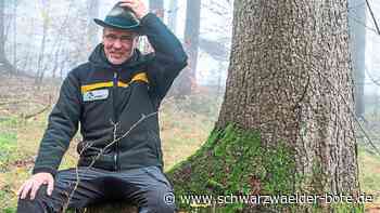 Neuer Balinger Förster - Der Wald soll ein Erlebnisort bleiben - Schwarzwälder Bote