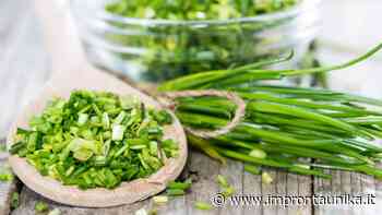 Erba cipollina: proprietà, benefici e utilizzo - Impronta Unika