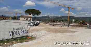 Viola Park: la Soprintendenza vuole erba vera e righe…mobili - Viola News