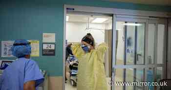 Coronavirus deaths and cases drop by a quarter in just a week as 193 more die - The Mirror