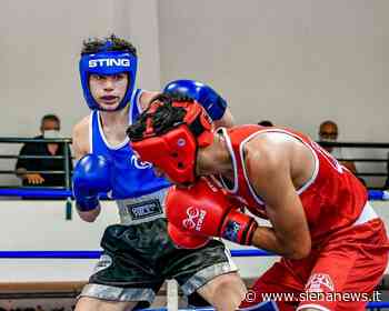 Boxe Siena Mens Sana: Toscana e Campania salgono sul ring del PalaGiannelli - Siena News