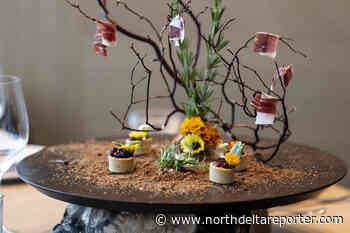 Telling a story through the canvas of food - North Delta Reporter