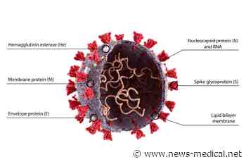 SARS-CoV-2 nucleocapsid G215C variation may explain Delta severity - News-Medical.Net