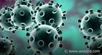 Omicron Death Rate Higher Than During Delta Surge - WebMD