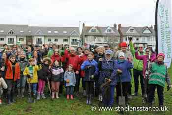 Thousands of new trees planted in Wirral as Queen's Green Canopy grows - St Helens Star