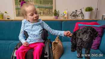 Aachen: Juli (12) mit seltenem Gendefekt ermalte sich ihren Therapiehund - BILD