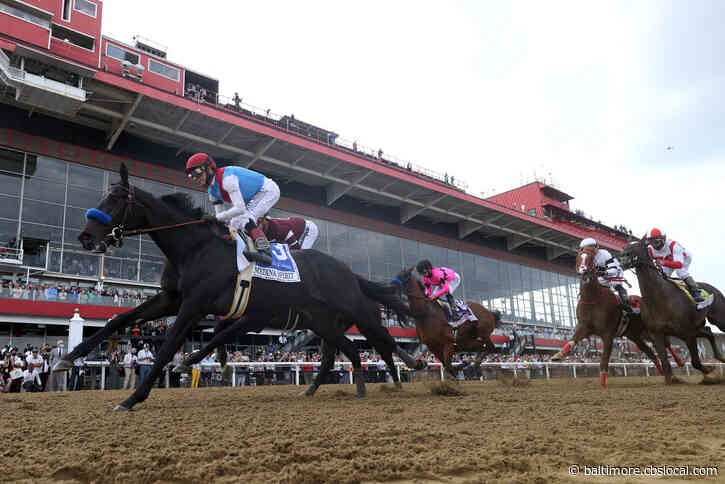 Exam Finds No Definitive Cause Of Death For Derby Winner Medina Spirit, Who Underwent Strict Testing Before Preakness