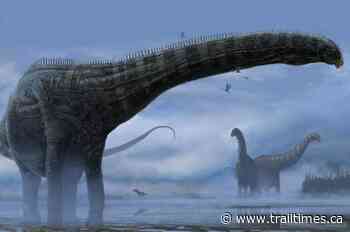 Researchers find evidence of first dinosaur with sore throat, flu symptoms - Trail Times